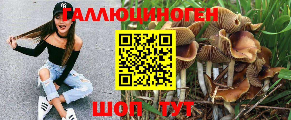 Псилоцибиновые грибы Magic Shrooms Мытищи