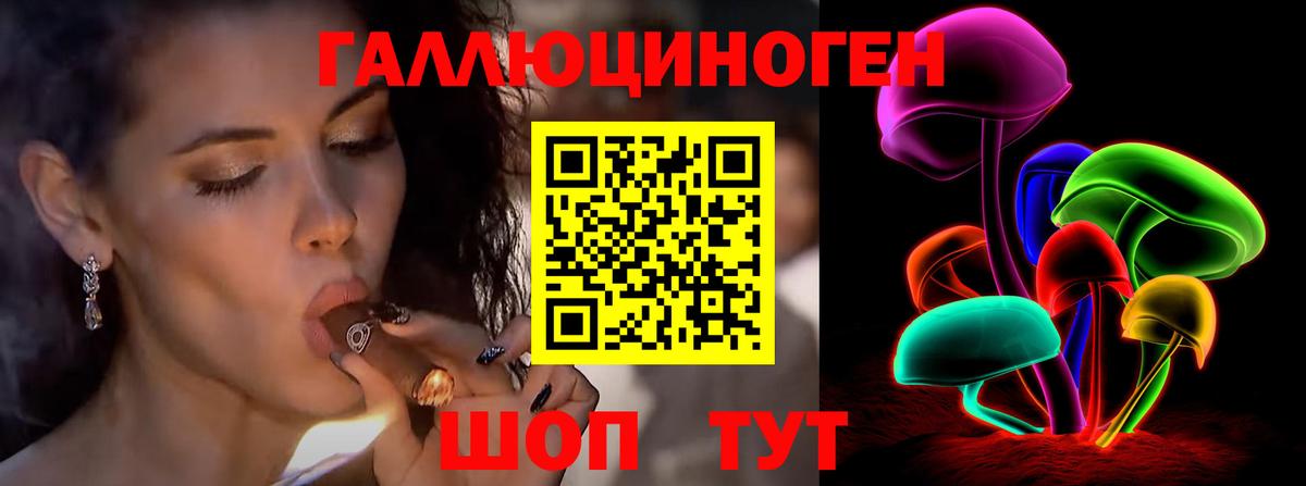 Галлюциногенные грибы Psilocybe  Вход с VPN  Мытищи 
